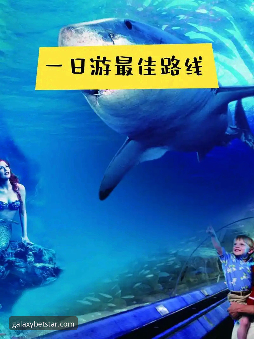 星空体育手机版手机版 星空体育手机版手机版使用教程:从安装到提现的完整操作指南